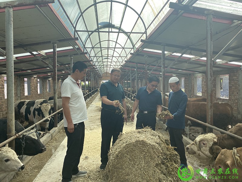 省畜牧总站发挥畜牧科技推广主力军作用 抓科技助力产业增收