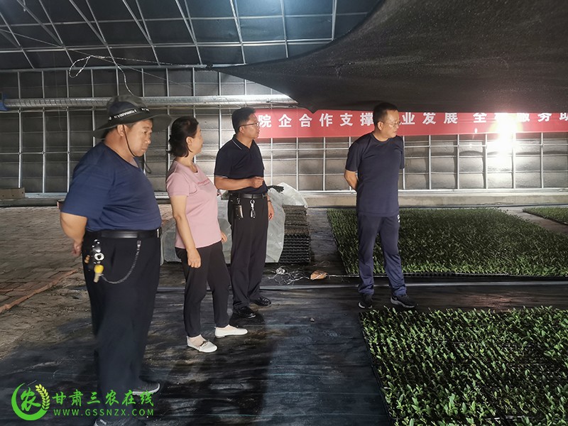 玉门市深入开展化肥减量增效技术培训5000多农民获益