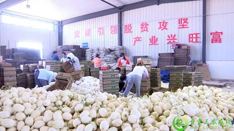 瓜州：壮大产业链助推高质量发展