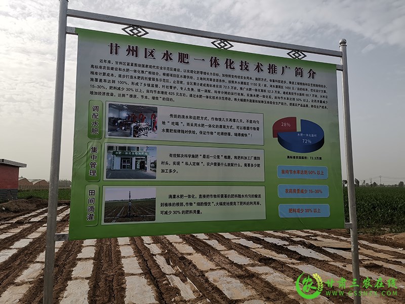 甘州区大力推广高效节水技术 促进农业提质增效