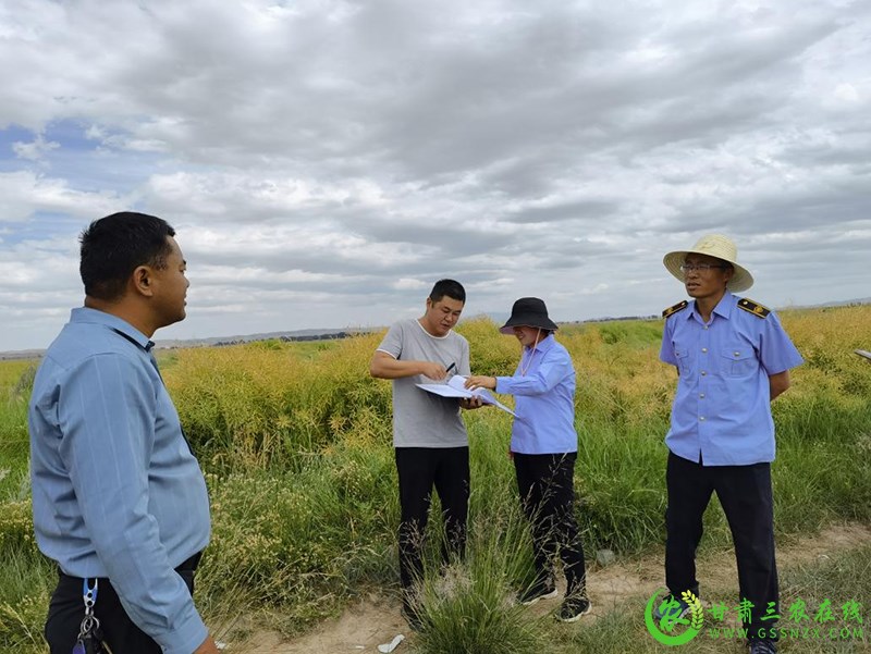 民乐县：全面加强植物检疫确保农业生产安全