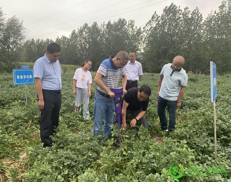 省农技总站第二调研督导组赴静宁、庄浪、秦安三县开展抗旱救灾暨农技推广重点项目调研督导工作