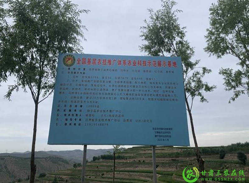 省农技总站第二调研督导组赴静宁、庄浪、秦安三县开展抗旱救灾暨农技推广重点项目调研督导工作