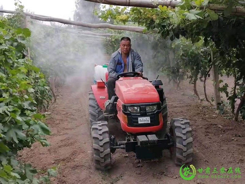 合作社机械化托管为敦煌现代农业增添新动能