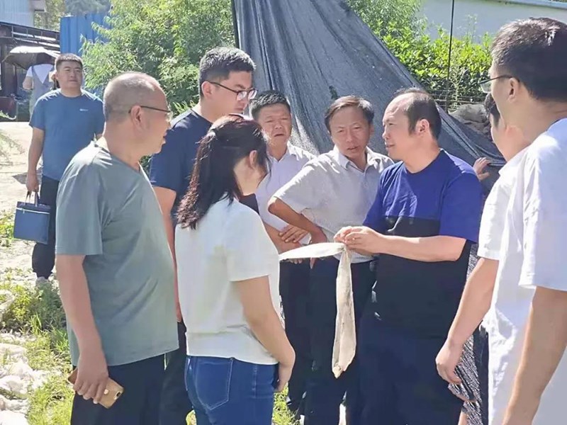 省农业生态总站督查组深入两当县督导耕地污染防治和农业生态环保工作