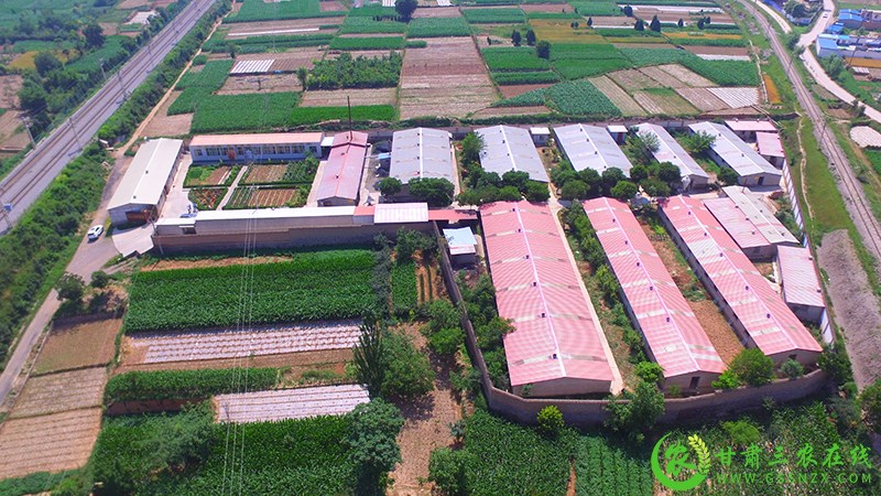 武山县推进畜禽粪污转化利用  助力畜牧业高质量发展