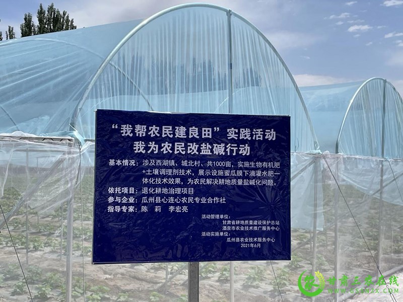 酒泉市扎实推进化肥减量增效与退化耕地治理 深入贯彻落实“藏粮于地 藏粮于技”战略