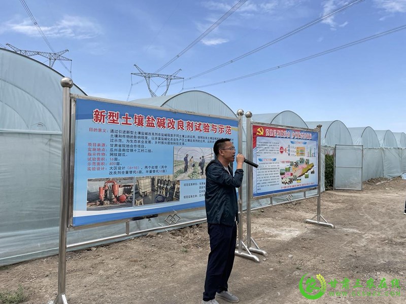 酒泉市扎实推进化肥减量增效与退化耕地治理 深入贯彻落实“藏粮于地 藏粮于技”战略