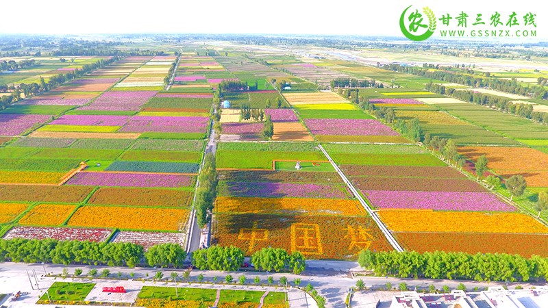 瓜州：以庭院“小美”促乡村“大美”