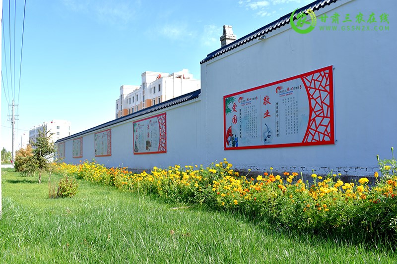 瓜州：以庭院“小美”促乡村“大美”