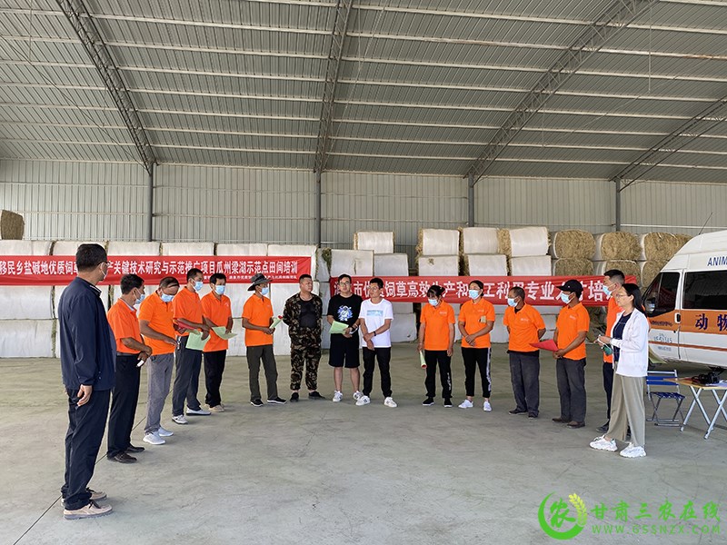 瓜州县开展盐碱地优质饲草高效生产技术指导培训工作