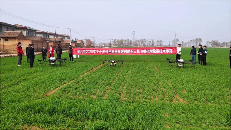 灵台县农技中心不断推动党史学习教育走深走实