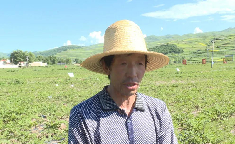 岷县：田间地头送技术 群众收获致富经