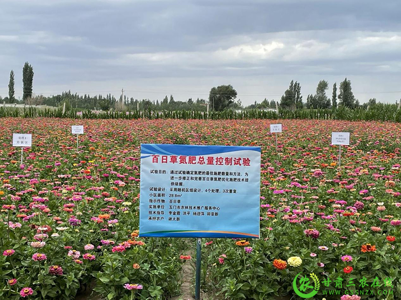 酒泉市扎实推进化肥减量增效与退化耕地治理 深入贯彻落实“藏粮于地 藏粮于技”战略