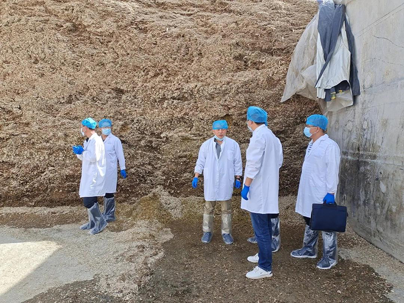 省畜牧兽医局督查调研金川区粮改饲项目推进工作