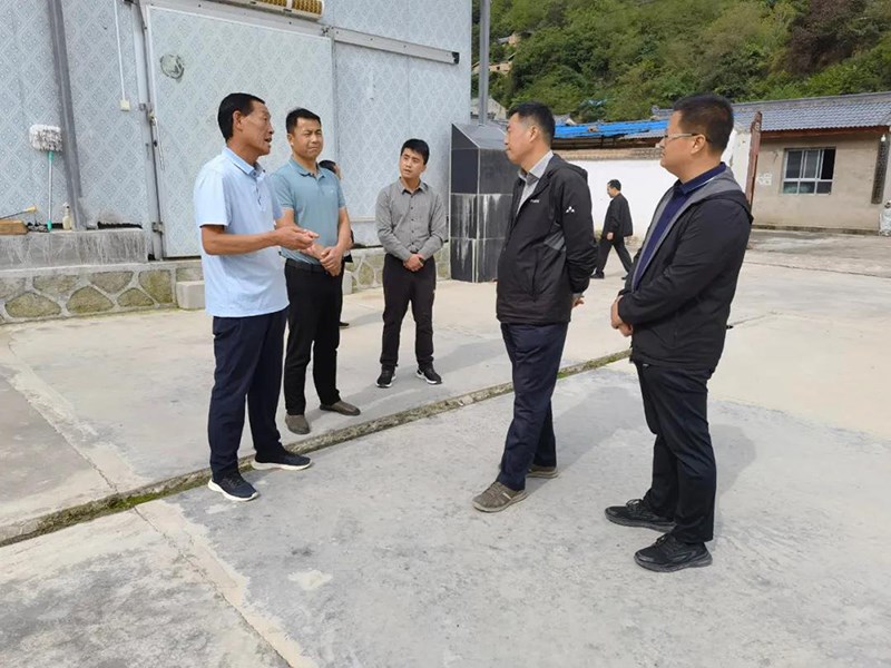 省农业农村厅副厅长蔚俊在礼县桥头镇调研指导产业发展和驻村帮扶工作