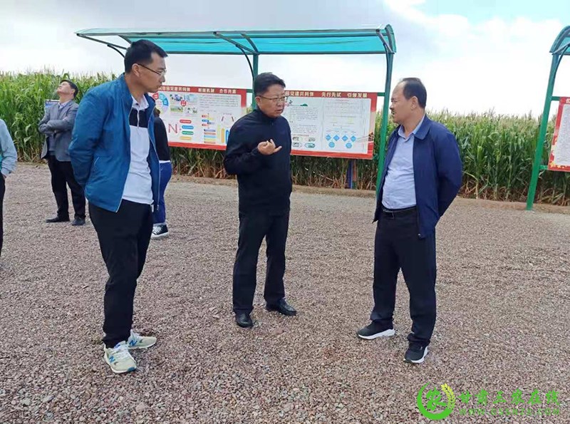 山丹县农技中心：同行兄弟交流学习 力促工作发展进步