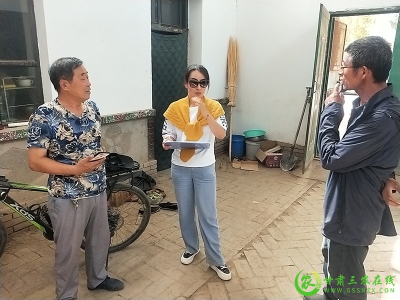 敦煌市农技中心积极开展氮磷流失监测工作