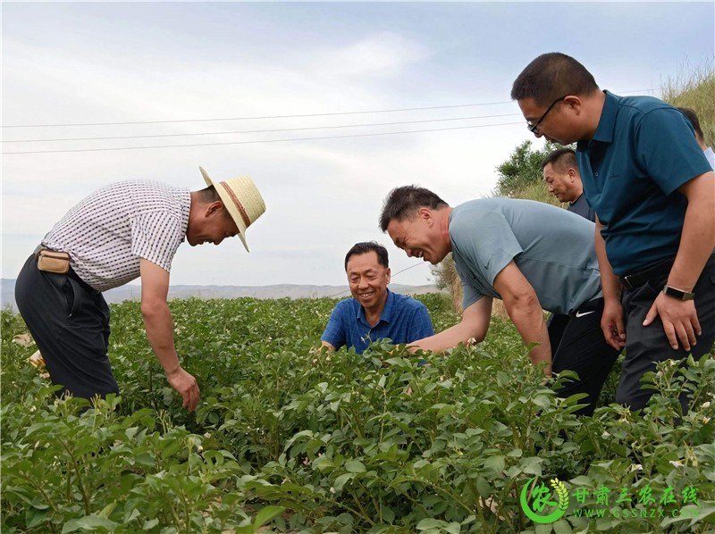 安定区强化旱作节水农业核心示范区建设提升项目实施效益