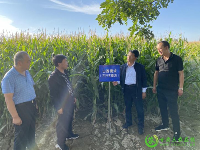 省农技推广总站抗旱救灾暨农技推广重点项目第一调研督导组赴永昌肃州凉州古浪4县区开展调研督导