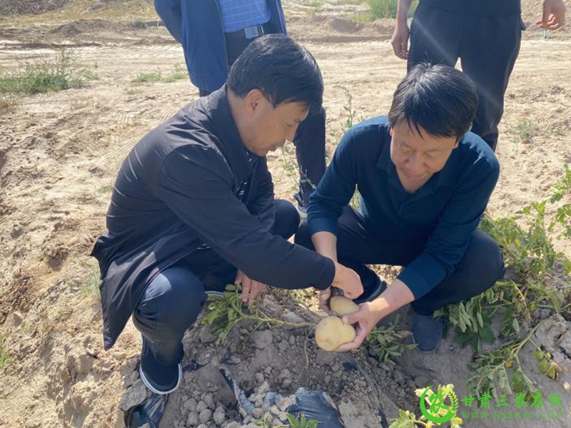 省农技推广总站抗旱救灾暨农技推广重点项目第一调研督导组赴永昌肃州凉州古浪4县区开展调研督导