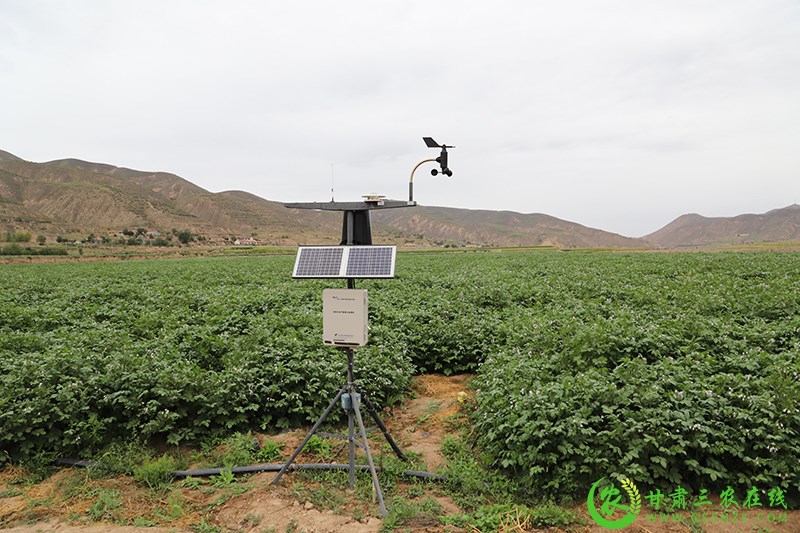 安定区加强旱作节水农业技术应用提高水肥资源利用效益