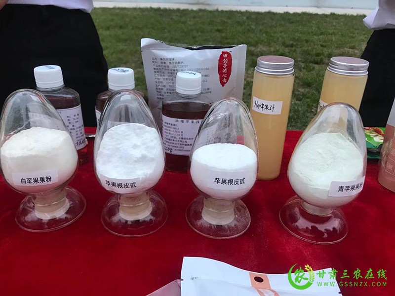 宁县全力打造西部苹果国际商贸港形成产业发展新格局