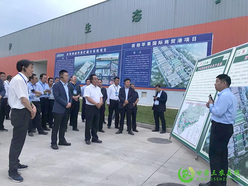 宁县全力打造西部苹果国际商贸港形成产业发展新格局