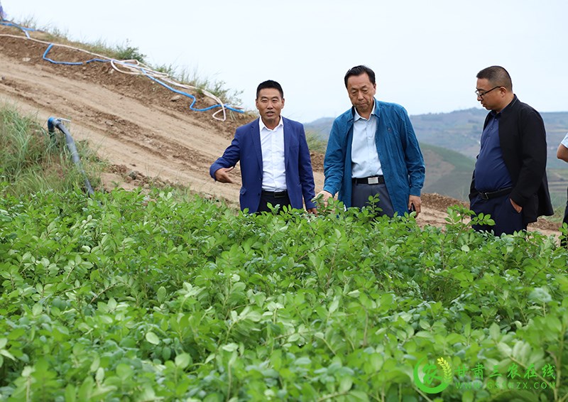 安定区建立工作进展调度制度确保旱作节水农业技术推广项目稳步推进