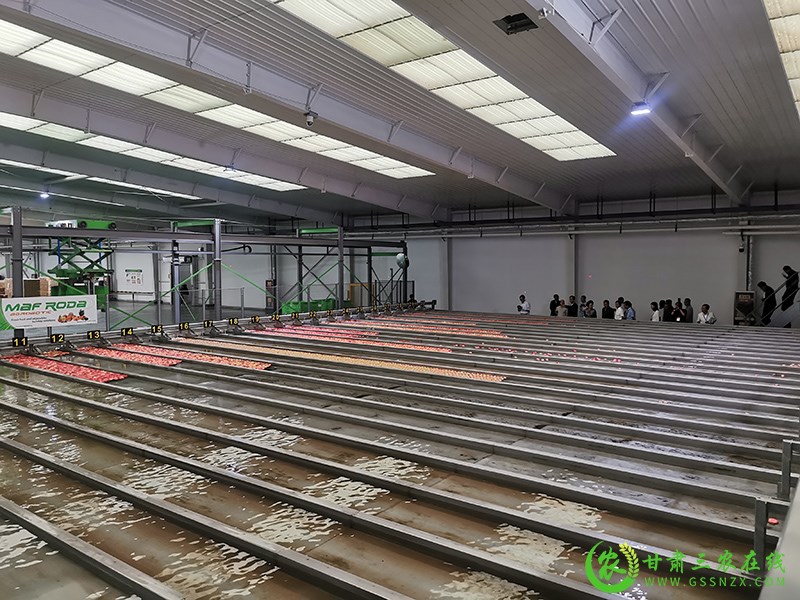 宁县将强化保障措施确保绿色种养循环农业试点工作顺利实施