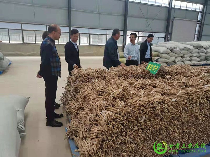 省农业金融保险工作总站调研指导华池合水两县旱灾理赔工作