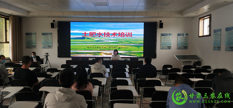 酒泉市农技中心党建引领促发展  为民服务办实事