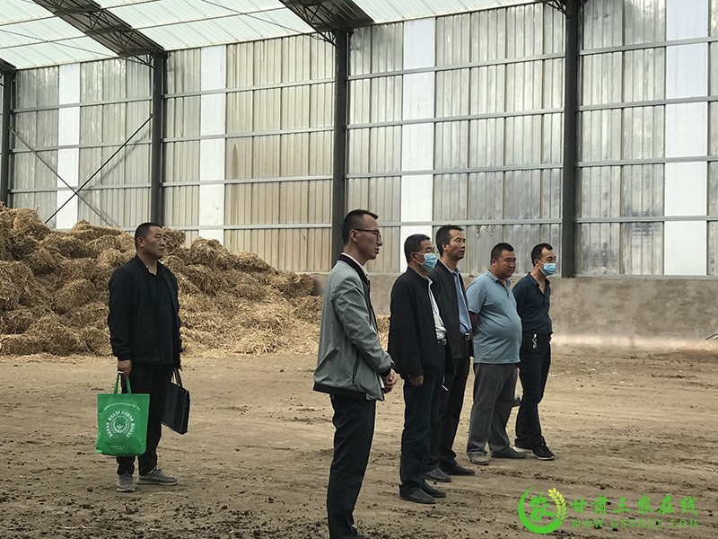 甘肃三农在线采访组在靖远县采访绿色种养循环农业试点项目开展工作
