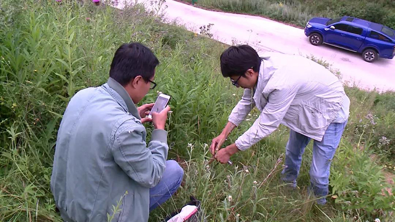 陇西：建设中药材种质资源库 守护中医药“根脉”