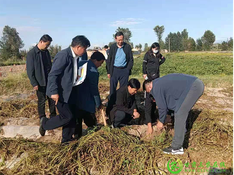 省农业技术推广总站调研督导酒泉市抗旱救灾暨农技推广重点项目实施情况