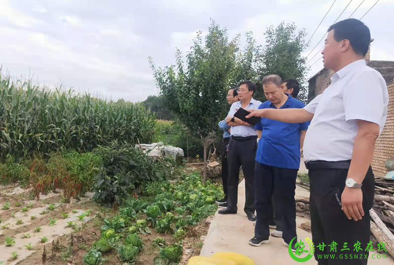 省植保植检站调研临洮为植保工作“谋新局”