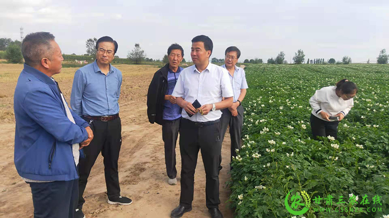 省植保植检站调研临洮为植保工作“谋新局”