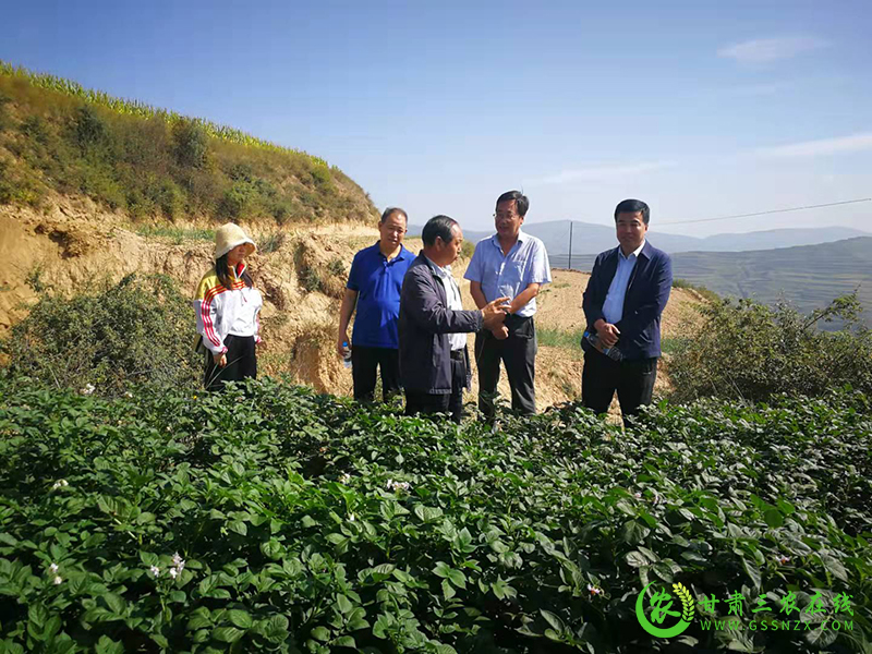 省植保植检站调研组一行赴漳县调研植保体系建设和重点工作开展情况