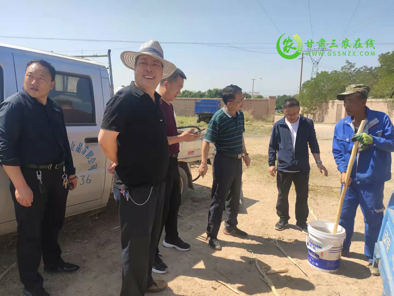 省畜牧技术推广站原种肉羊场邀请专家指导粮改饲全株玉米青贮工作​