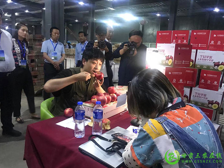 宁县注重生态循环苹果产业绿色发展成效日益凸显