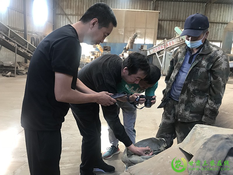 甘肃三农在线聚焦凉州区农作物秸秆综合利用试点项目开展情况