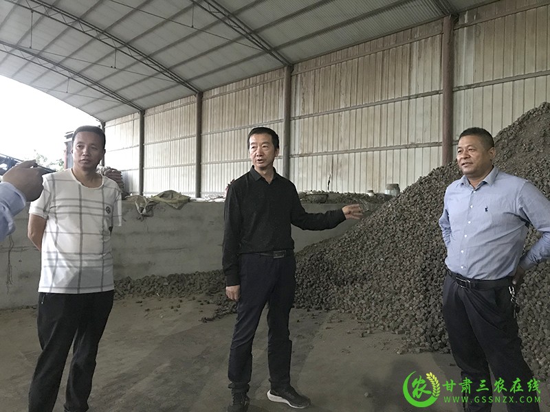 甘肃三农在线聚焦凉州区农作物秸秆综合利用试点项目开展情况