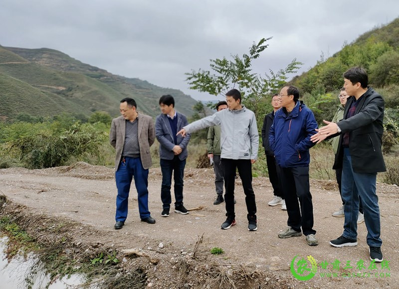 农业农村部对武山县非洲猪瘟进行监测采样