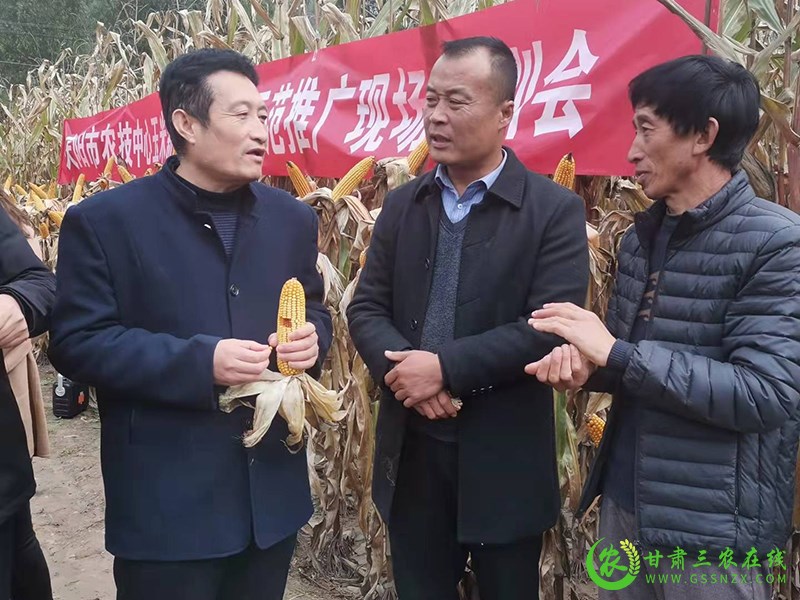 庆阳市农技中心举办玉米新品种新技术示范推广现场培训会