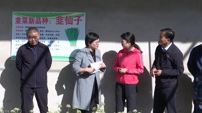 全省设施蔬菜产业集群项目观摩团走进玉门