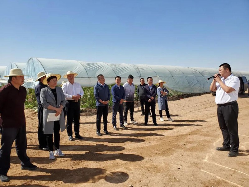 全省设施蔬菜产业集群项目观摩团走进玉门