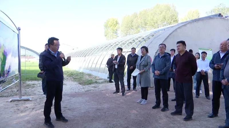 全省设施蔬菜产业集群项目观摩团走进玉门