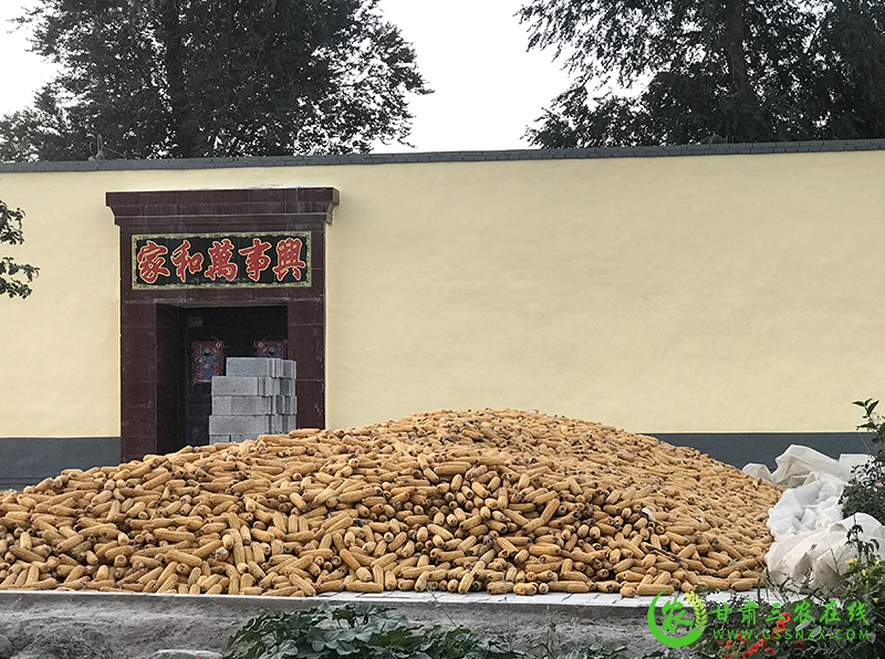 甘肃三农在线聚焦凉州区农作物秸秆综合利用试点项目开展情况