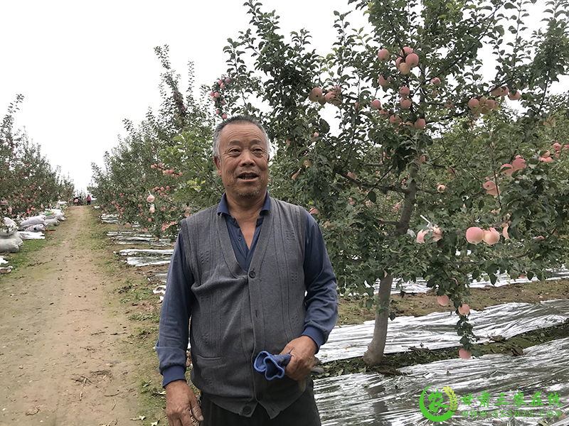 甘肃三农在线聚焦庄浪县采访绿色种养循环农业试点项目进展情况