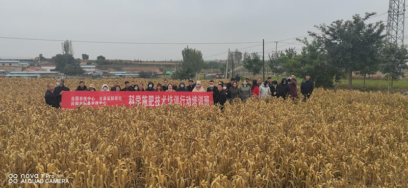 环县农技中心全力以赴做好疫情防控　圆满完成科学施肥培训